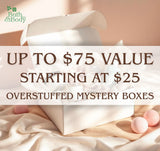 Overstuffed Mystery Boxes Starting at $25 | Choose Size | Up to $75 Value!
